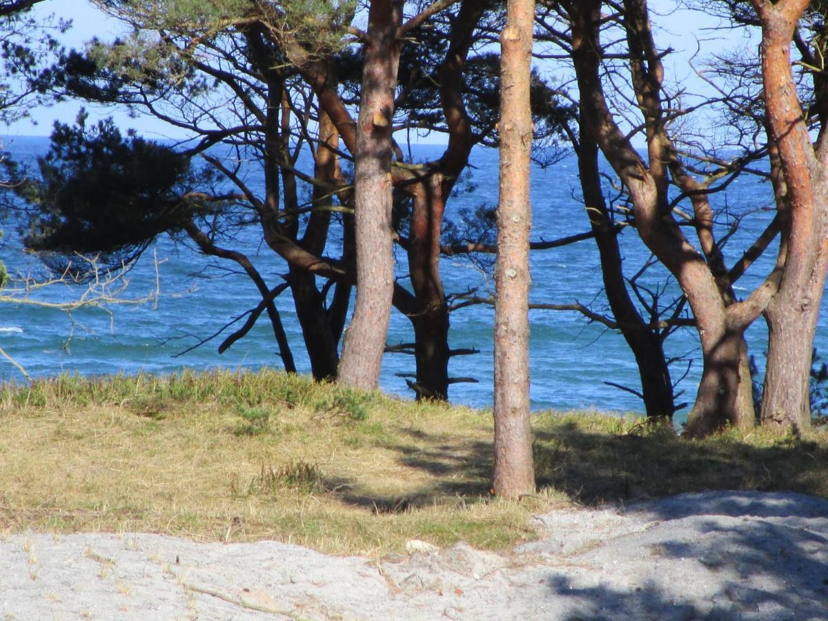 Apartment Strandapartment Kapitaen Prora *